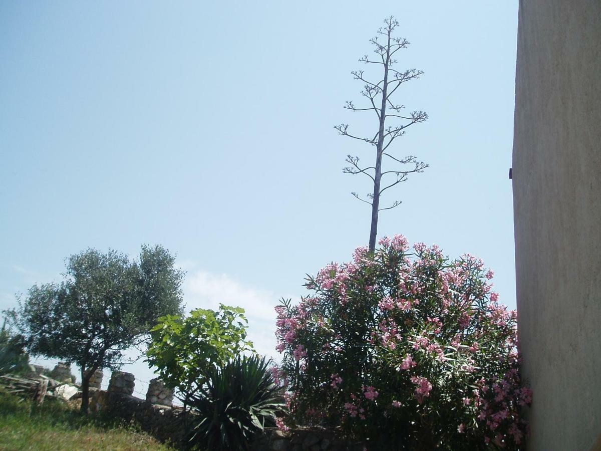 Apartment 4M Čunski מראה חיצוני תמונה